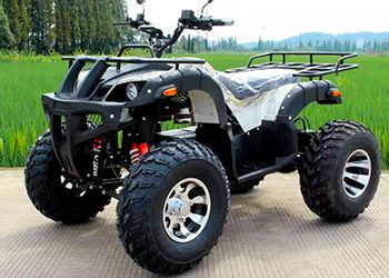 Электроквадроциклы